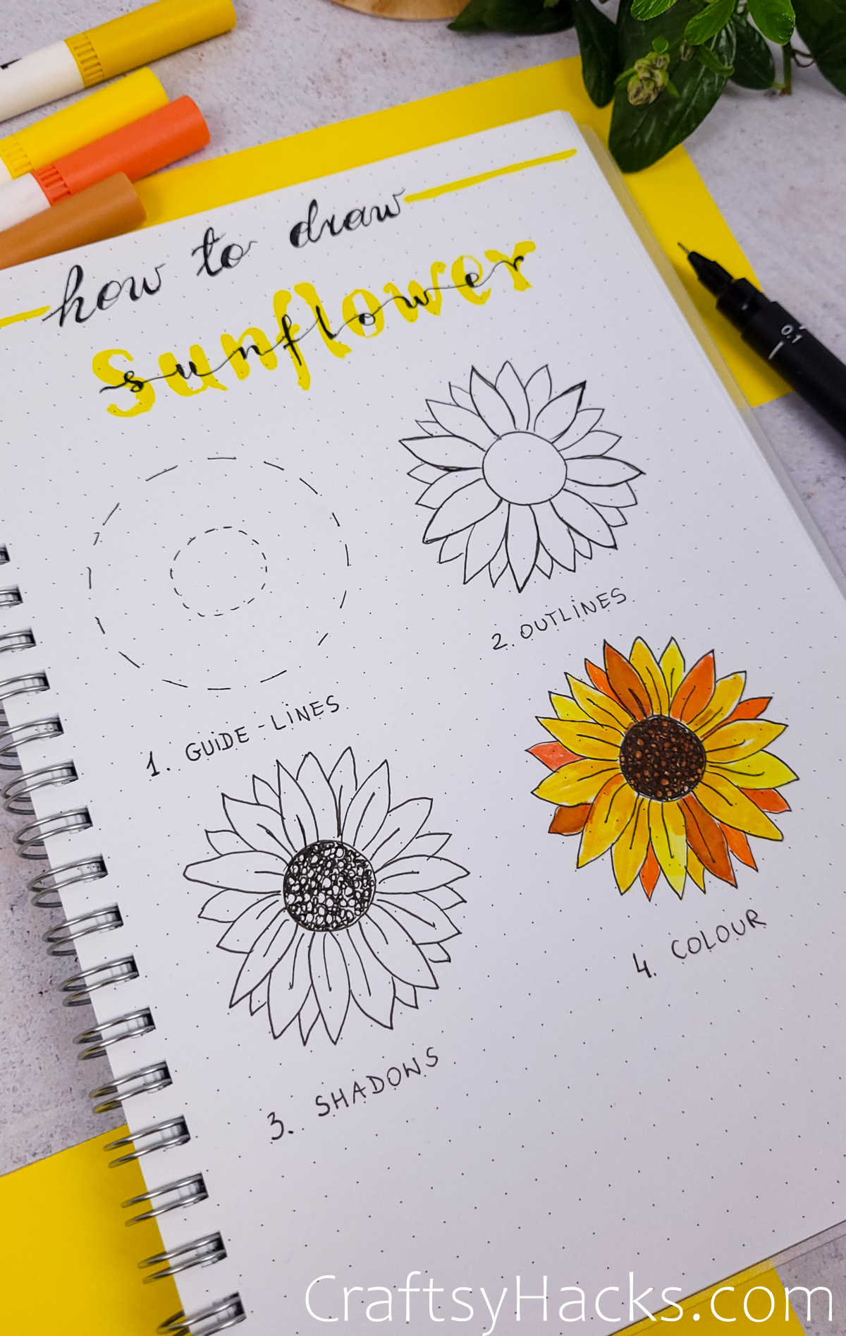 How to Draw Sunflowers