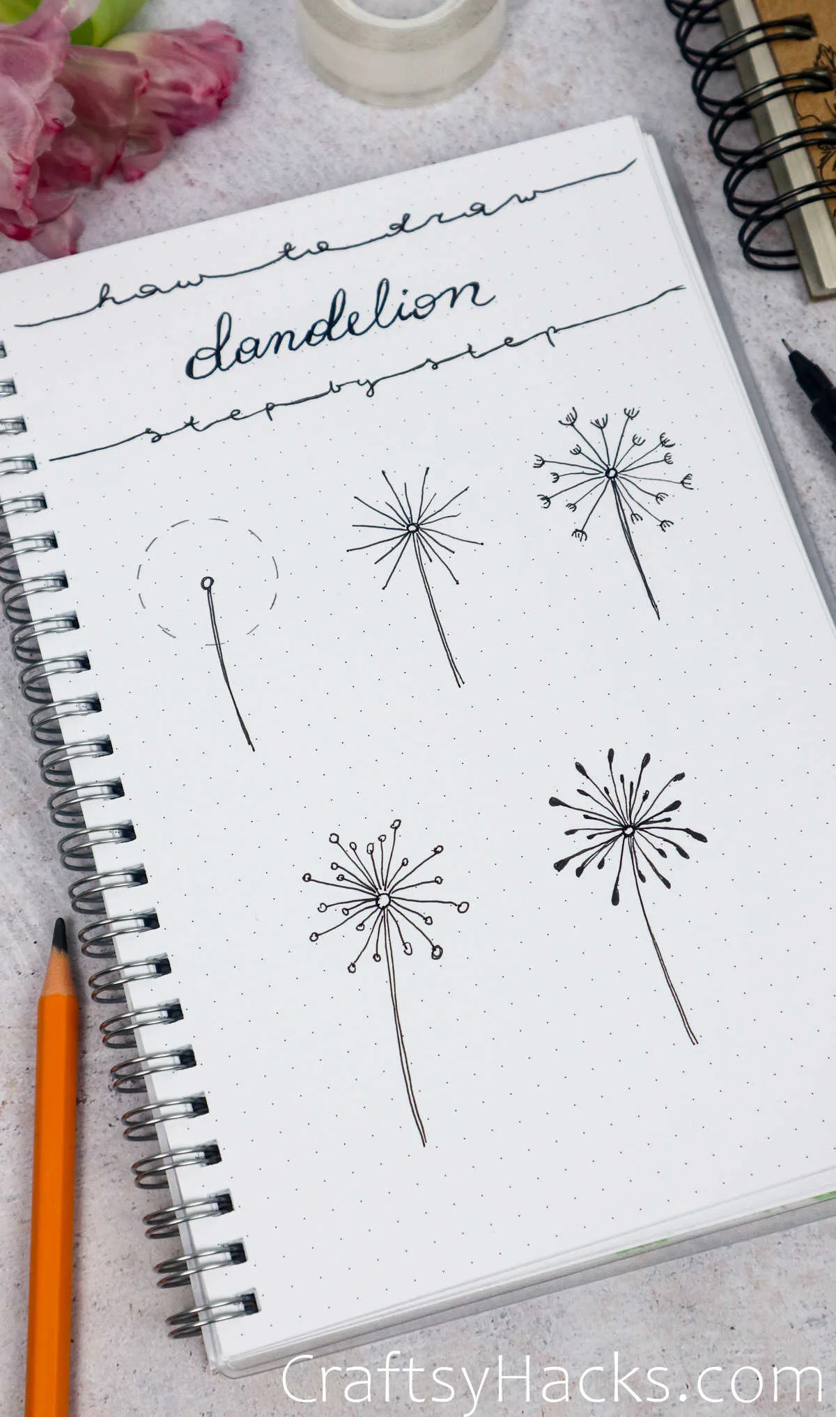 Dandelions