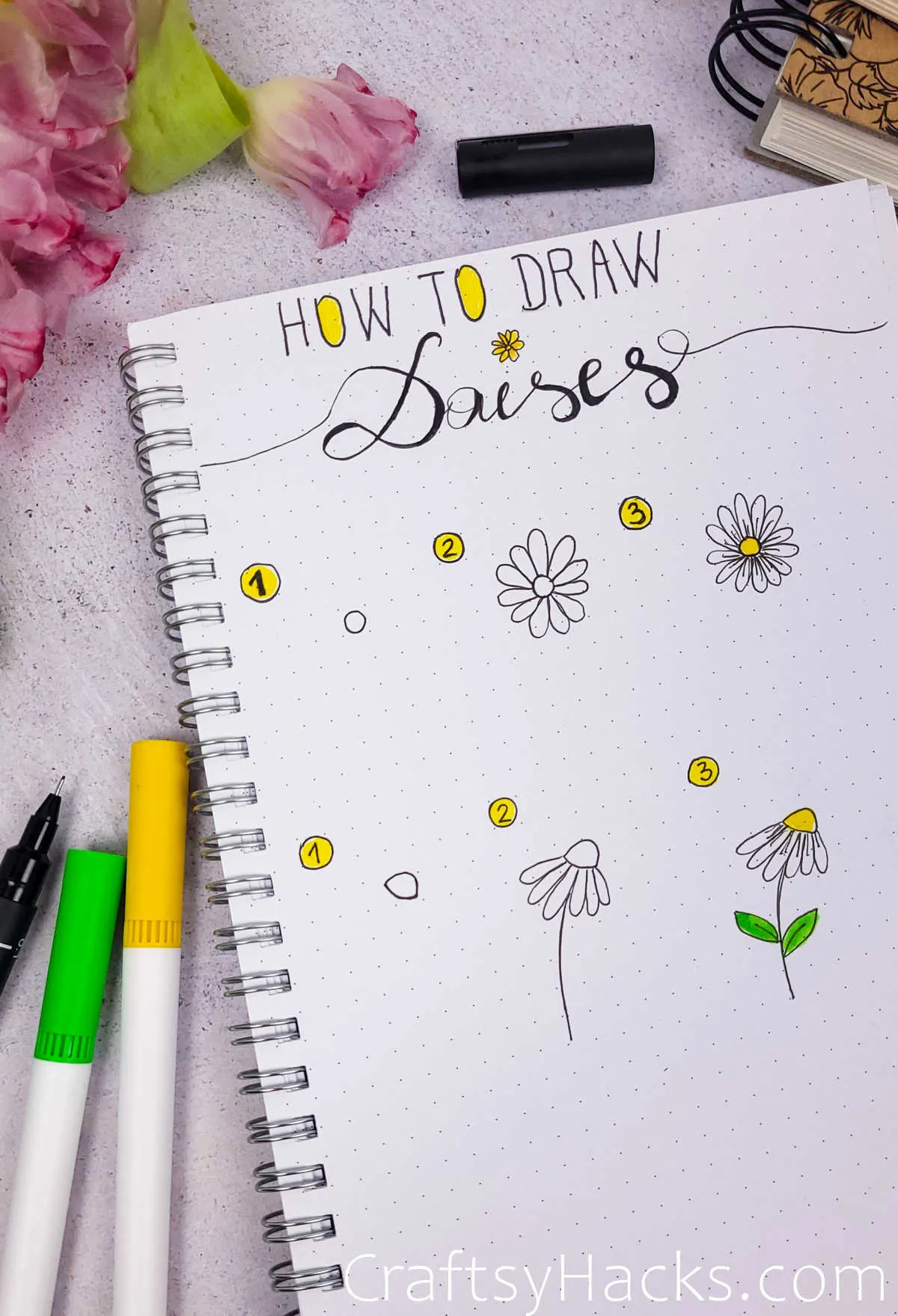 How to Draw Daisies