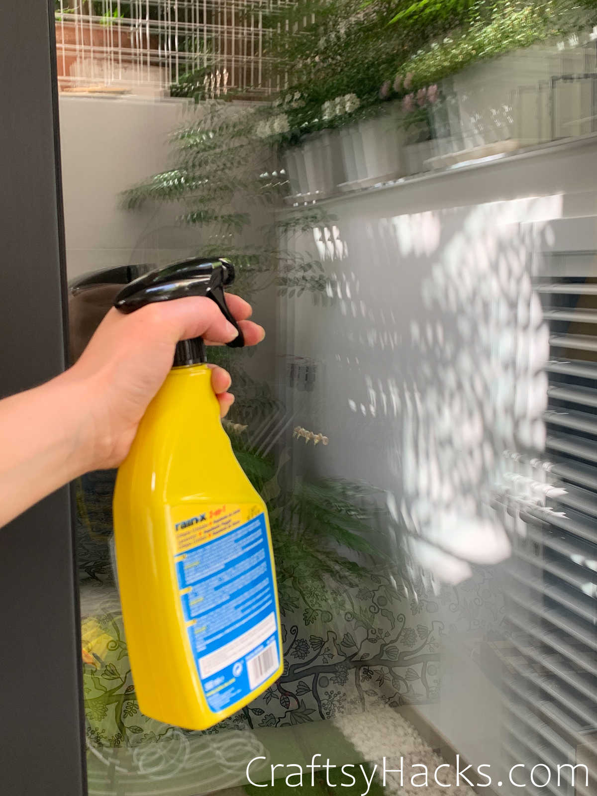 Rain Repellent to Keep Windows Spotless