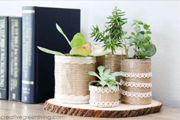 Burlap Succulent Planter