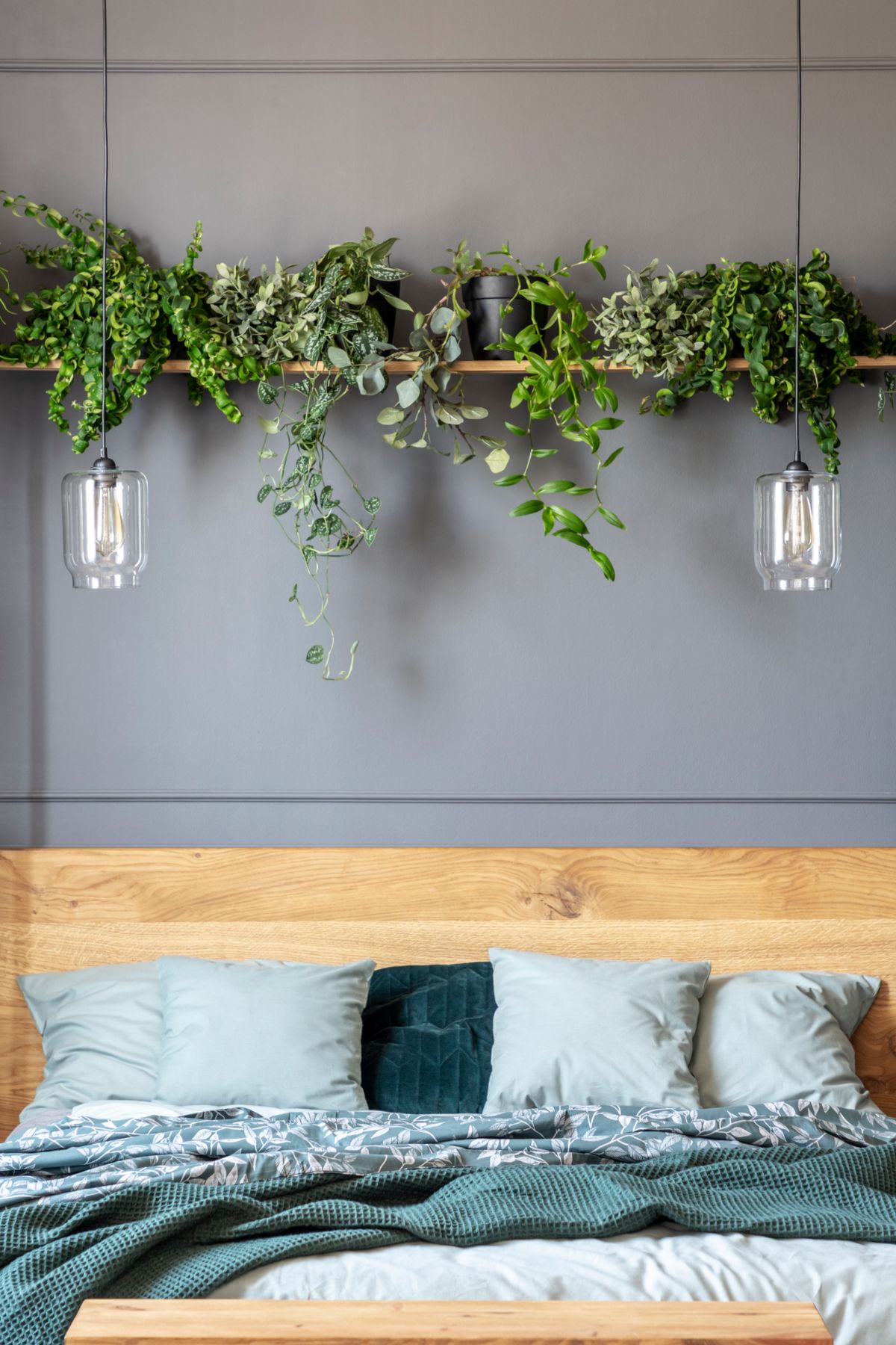 Plants above bed