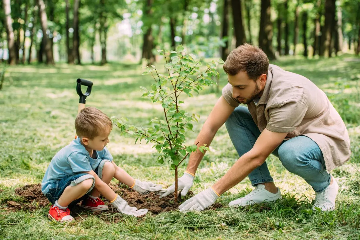 Plant a tree