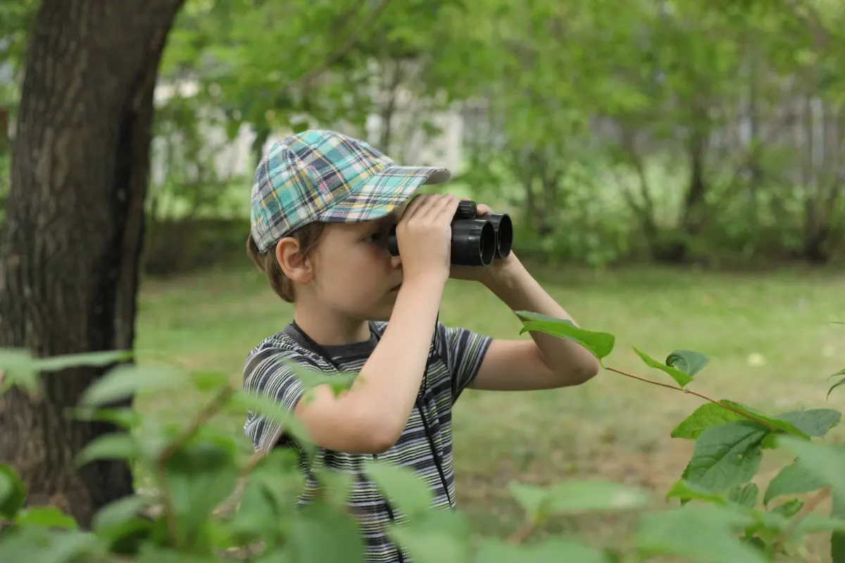 Bird Watching