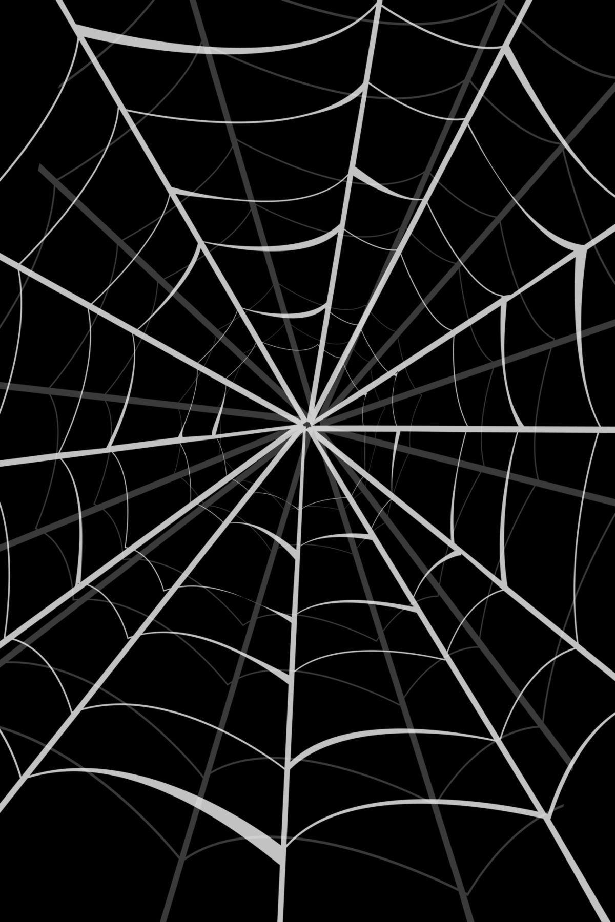Spider WebMaster