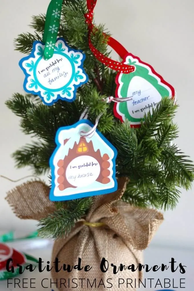 Gratitude Ornaments