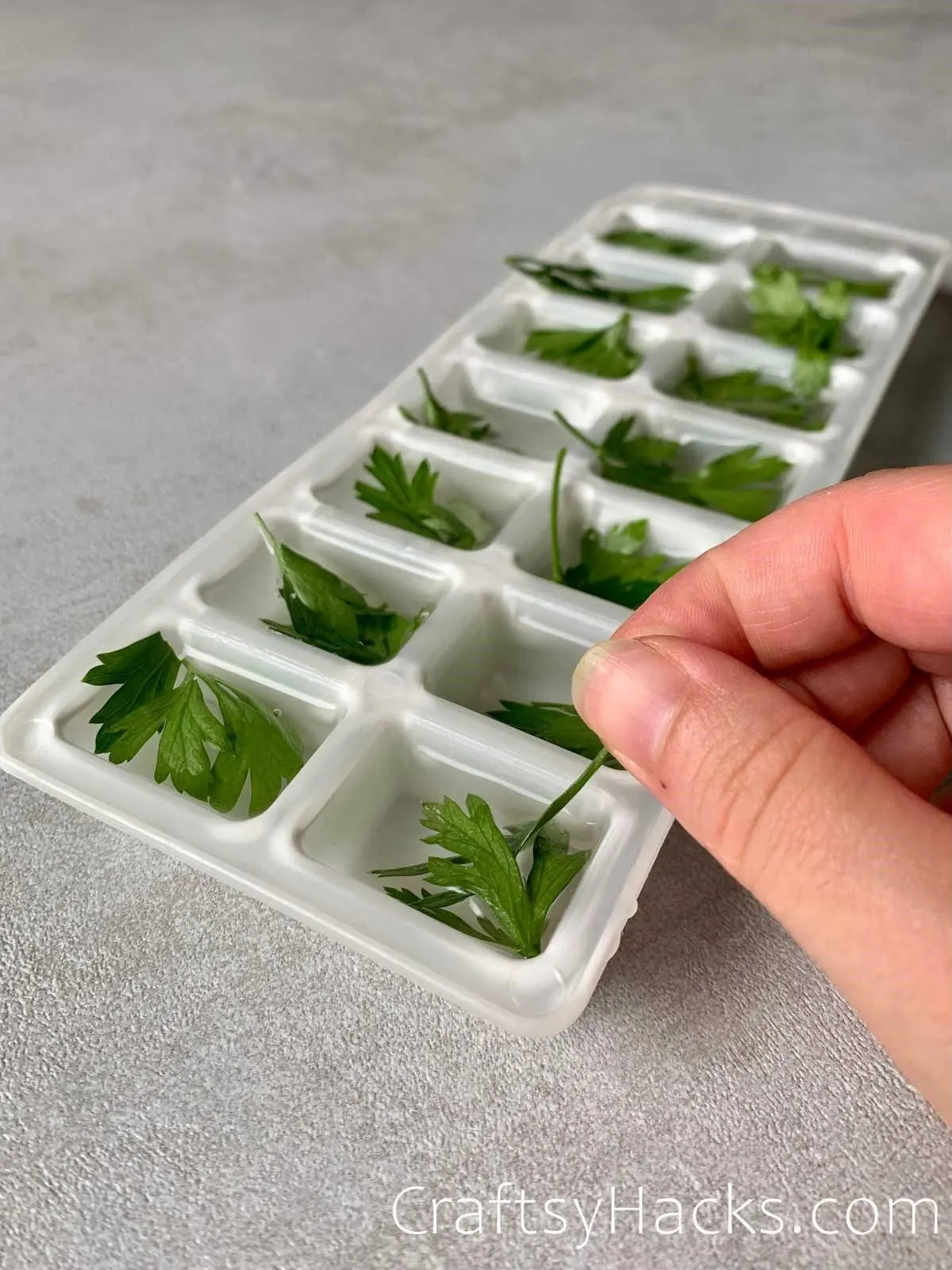 freeze herbs for future cooking
