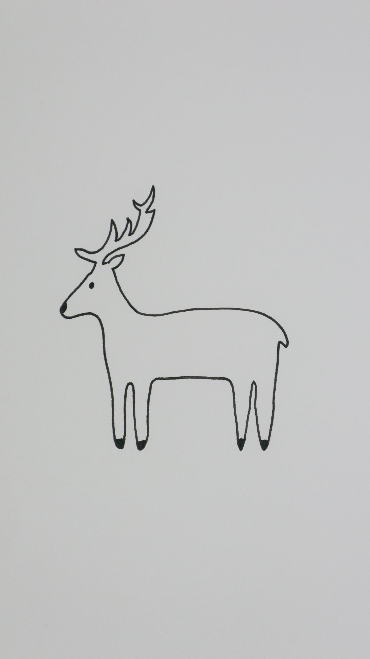 deer
