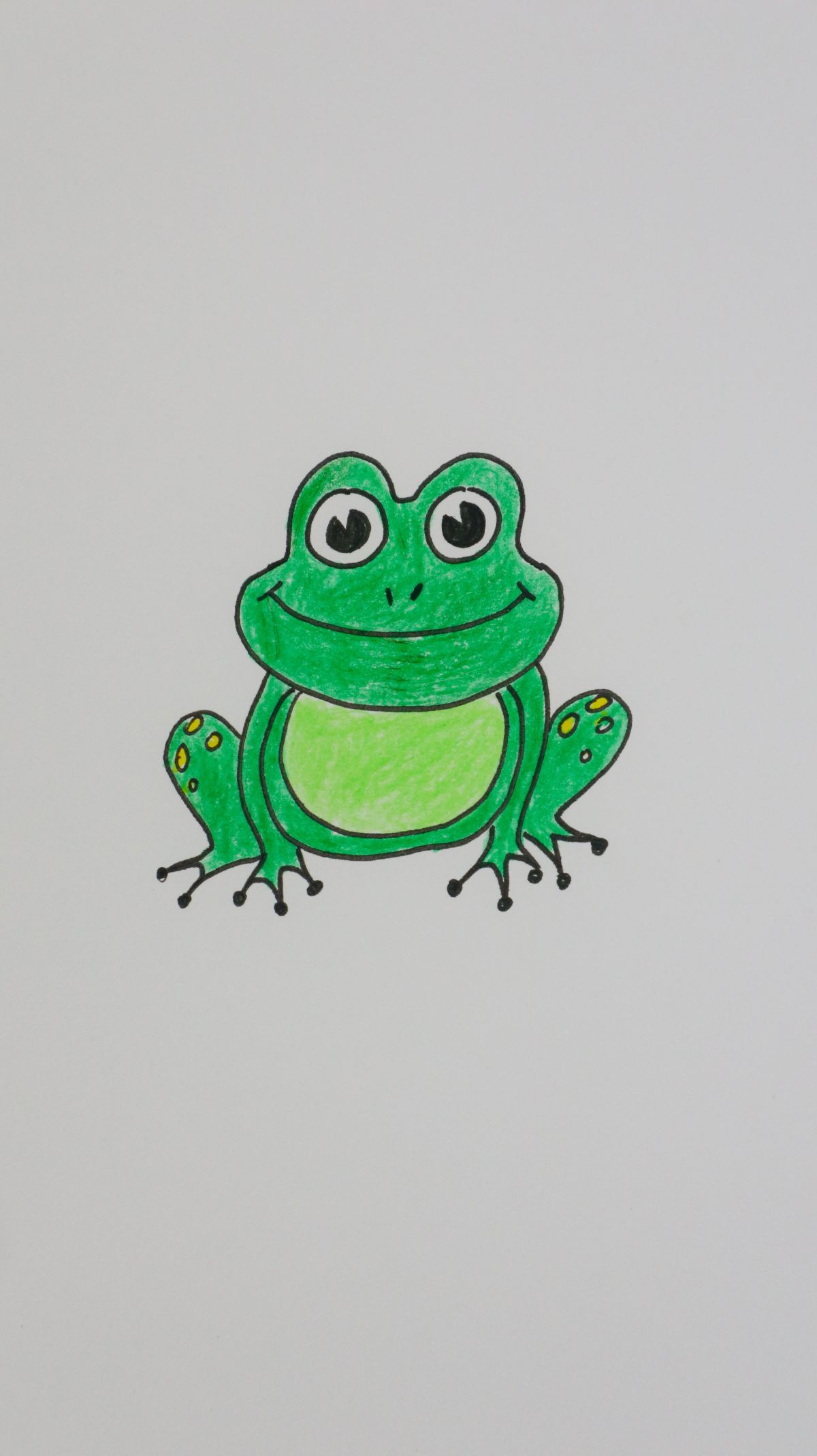 frog
