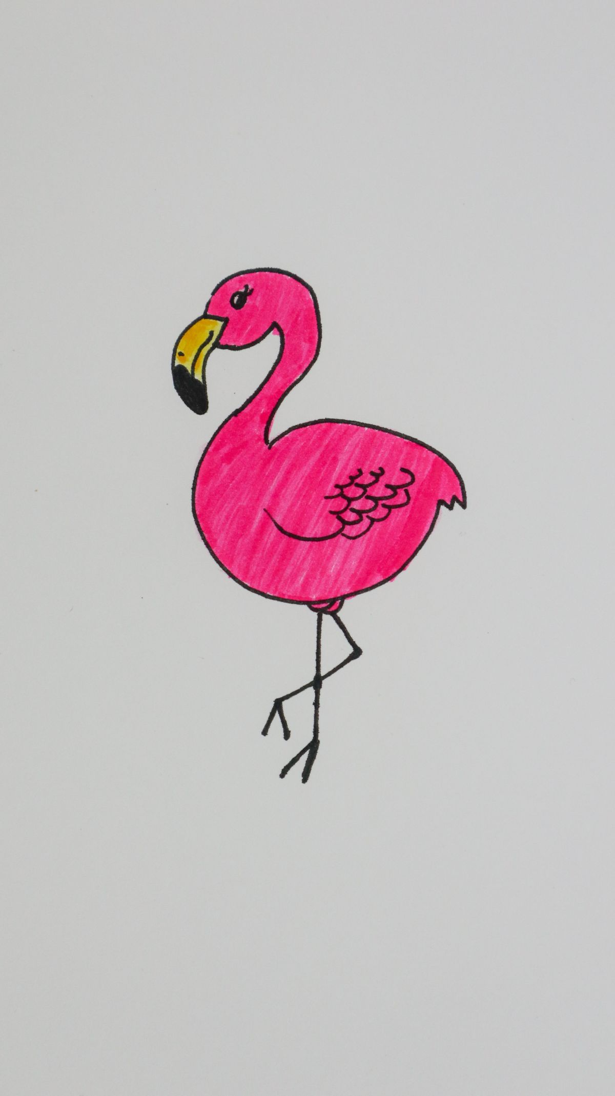 flamingo