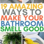 bathroom smell hacks