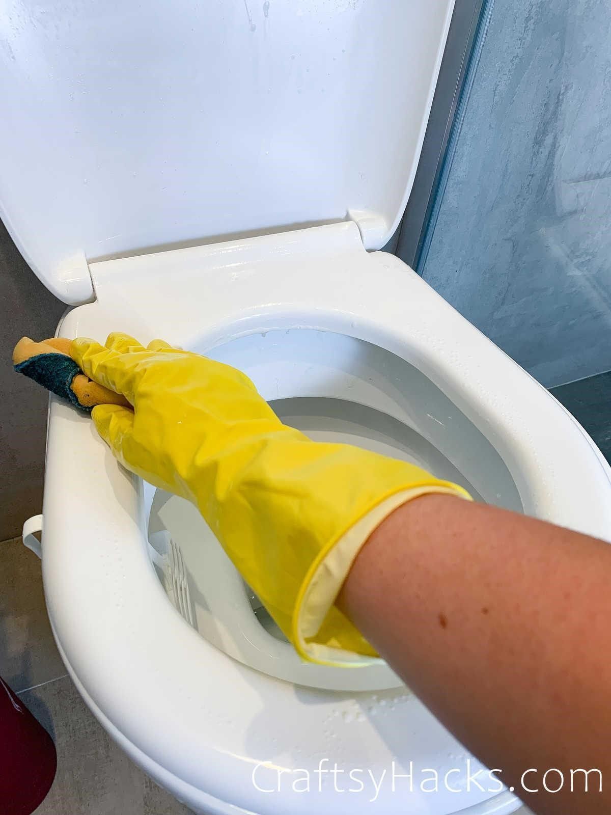 give toilet deep clean