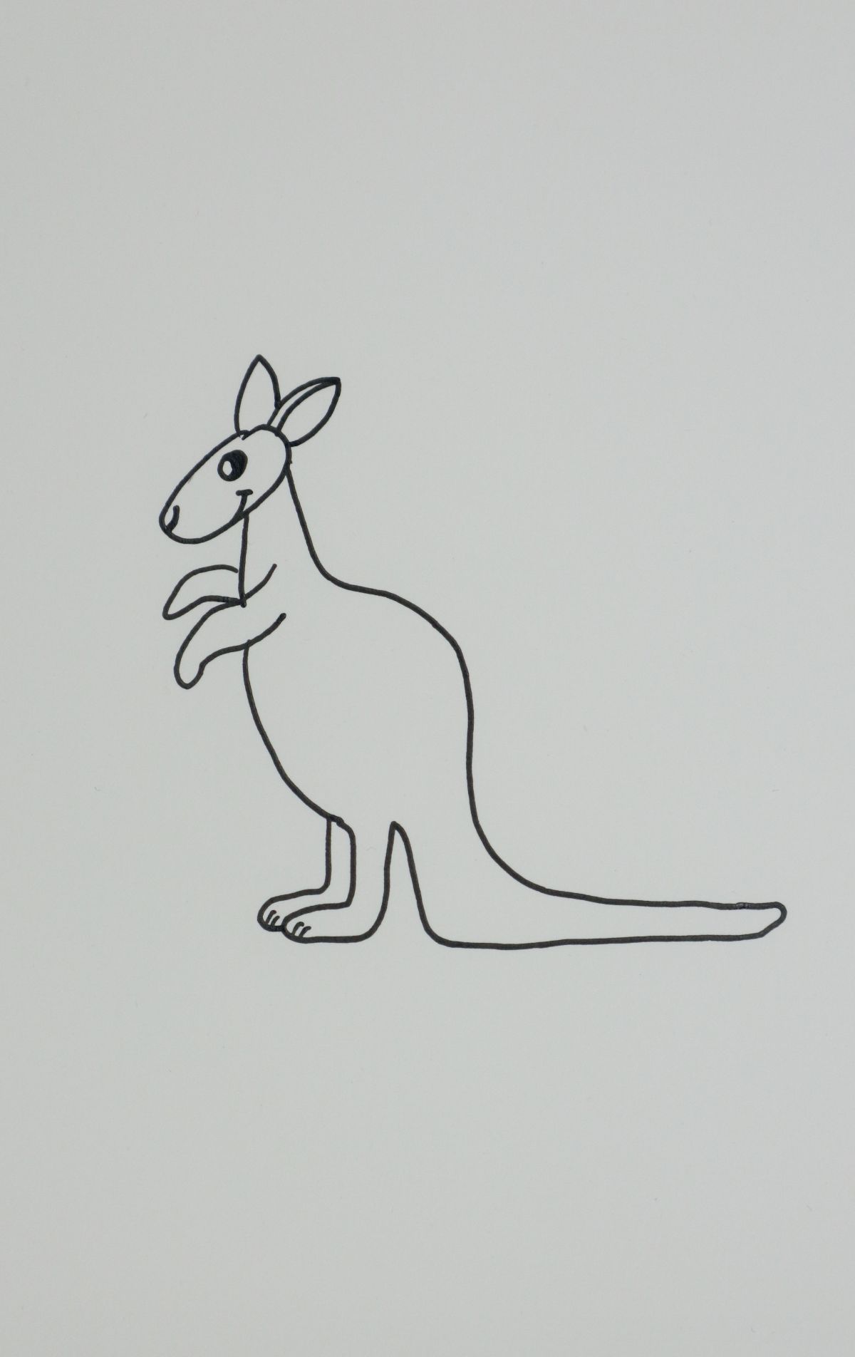 kangaroo