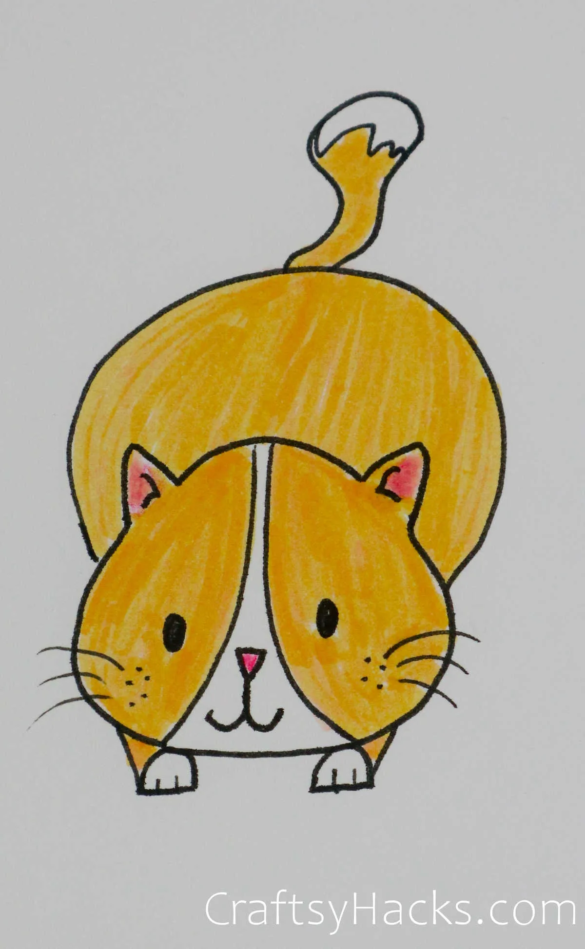 FREE! - Pets Cat Ginger Colouring | Colouring Sheets