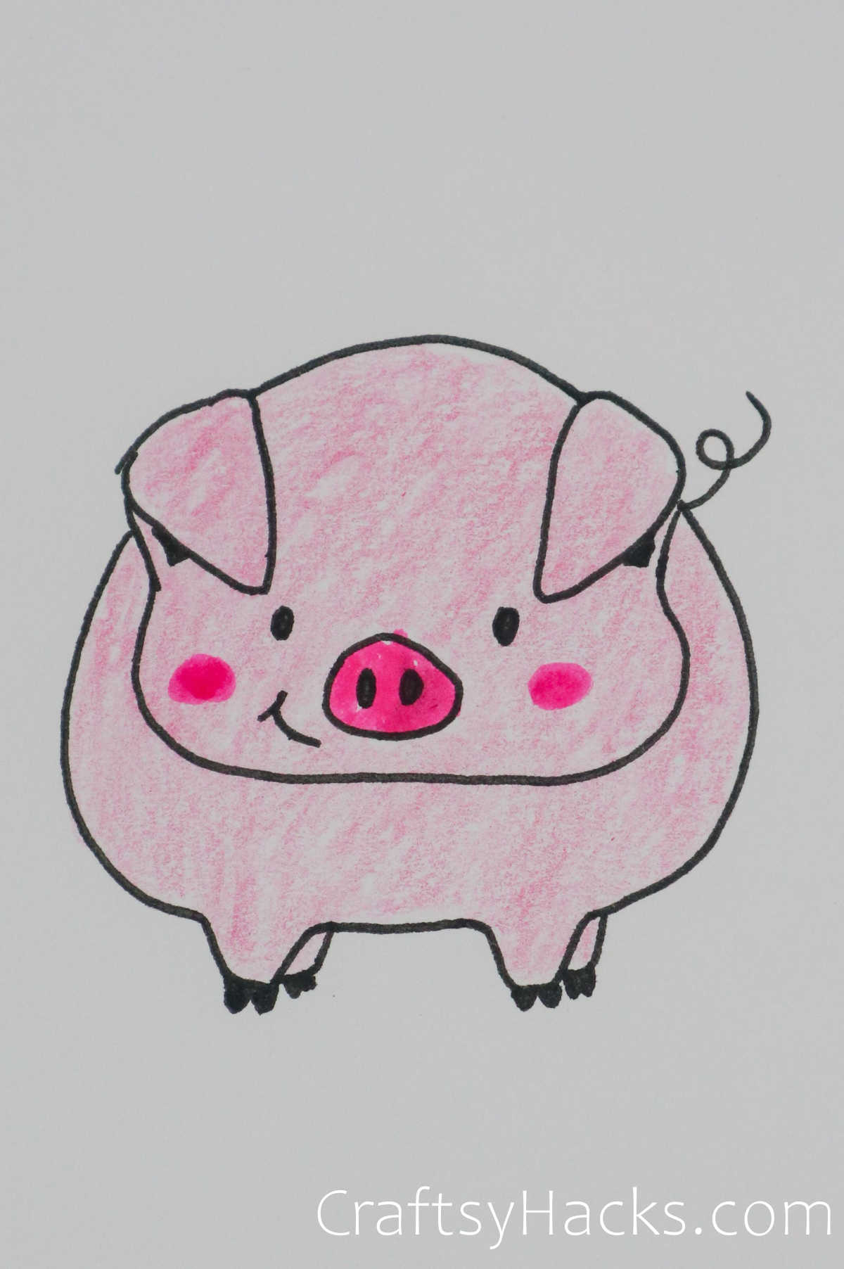 pig