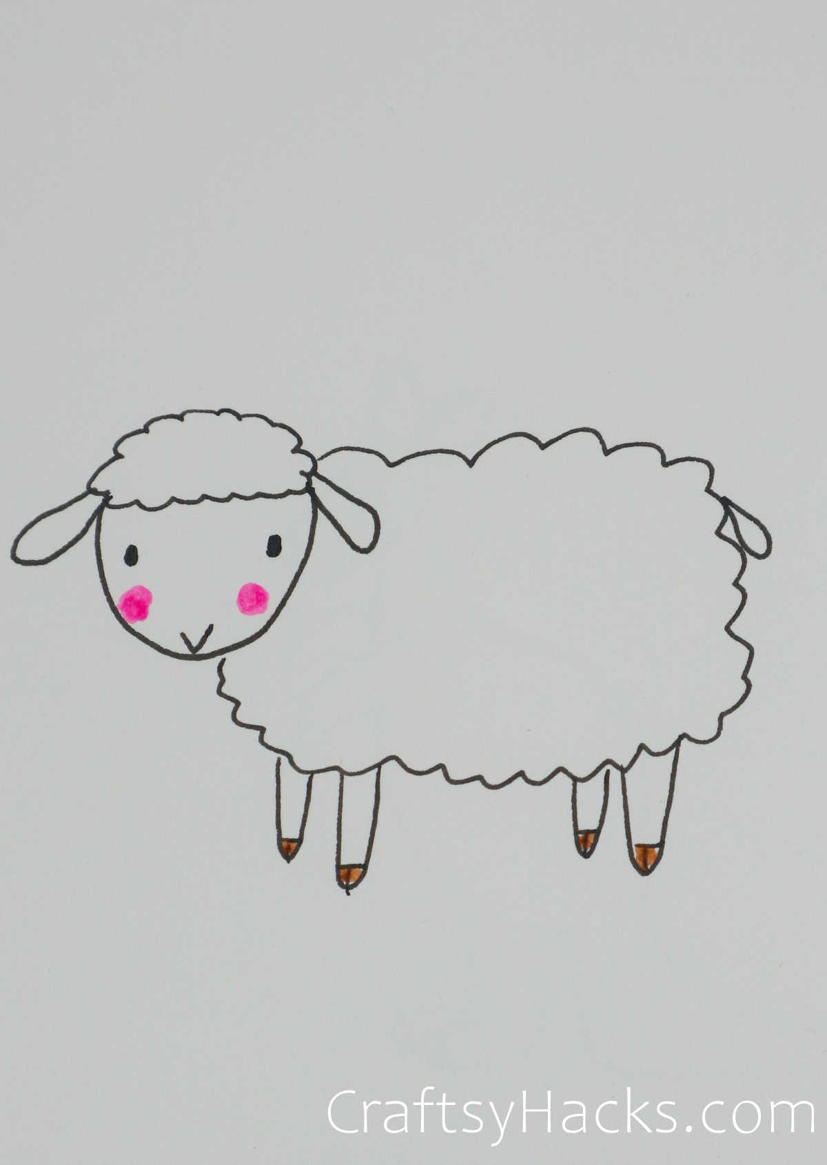 sheep