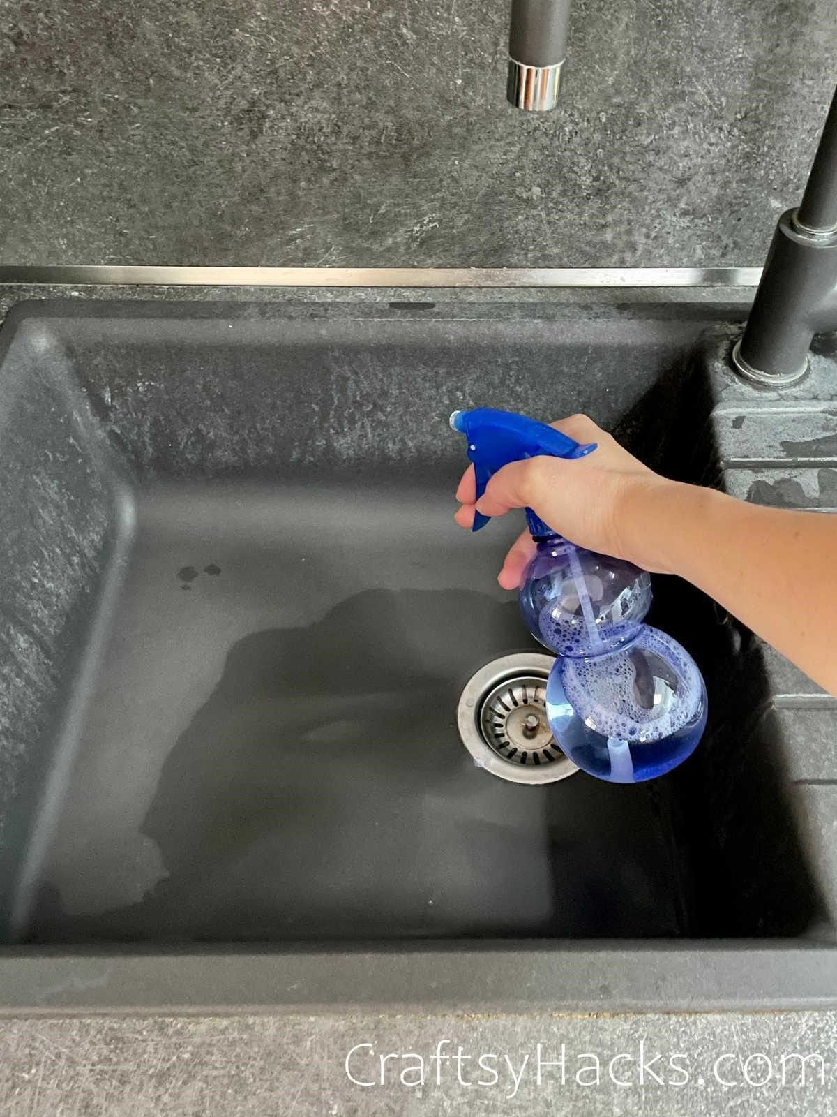 clean and disinfect kitchen sink
