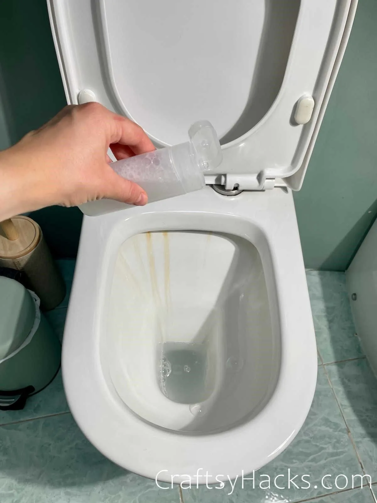 clean your toilet