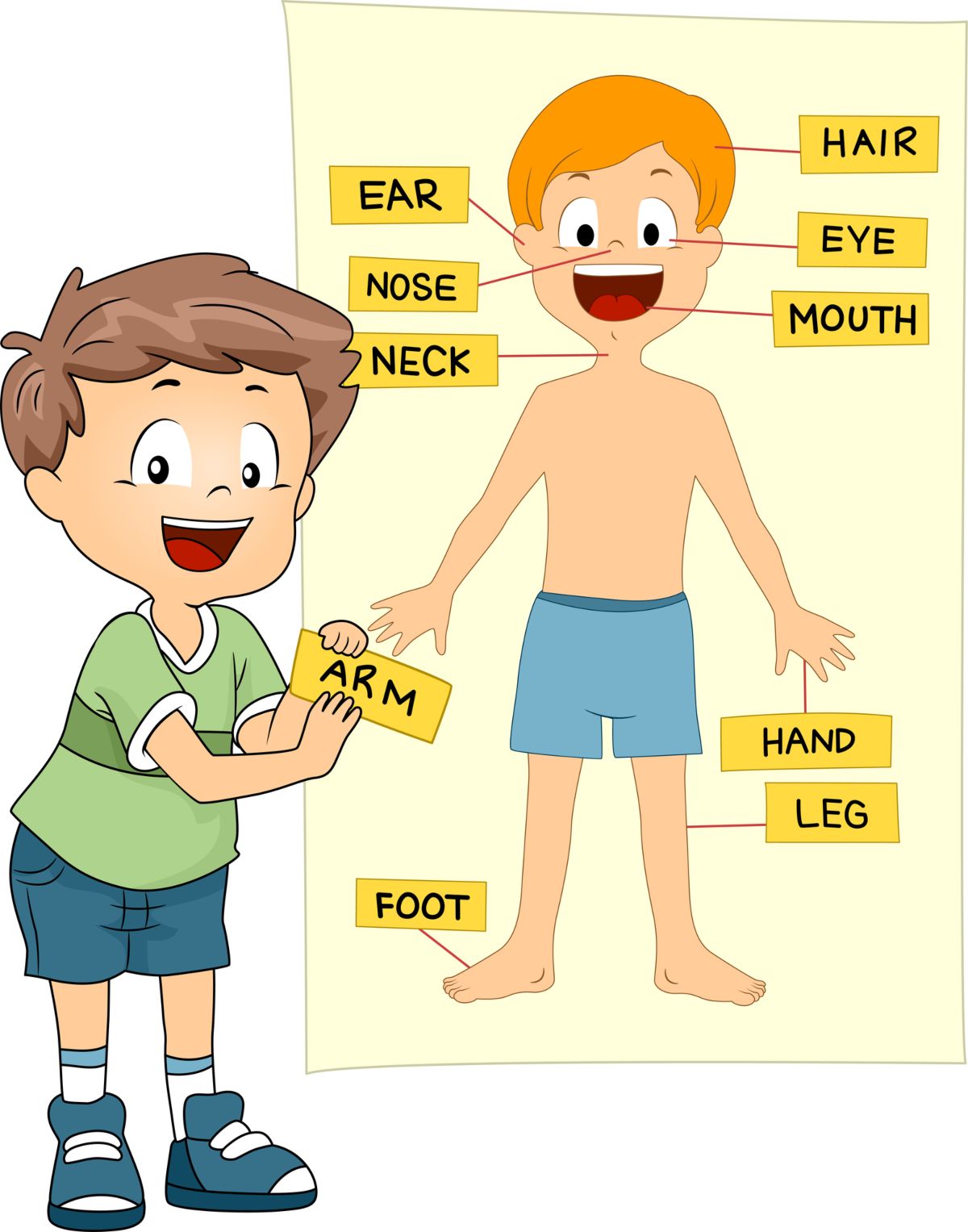 body parts matching activity