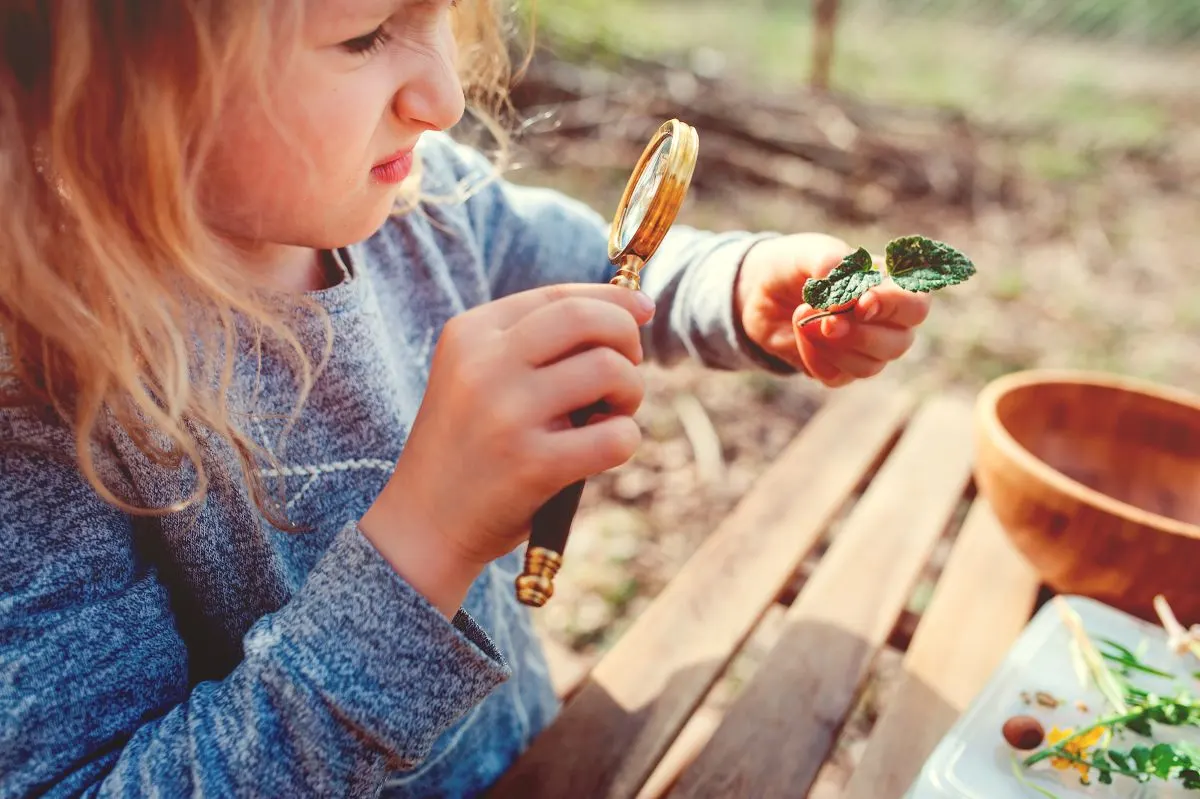 nature scavenger hunt