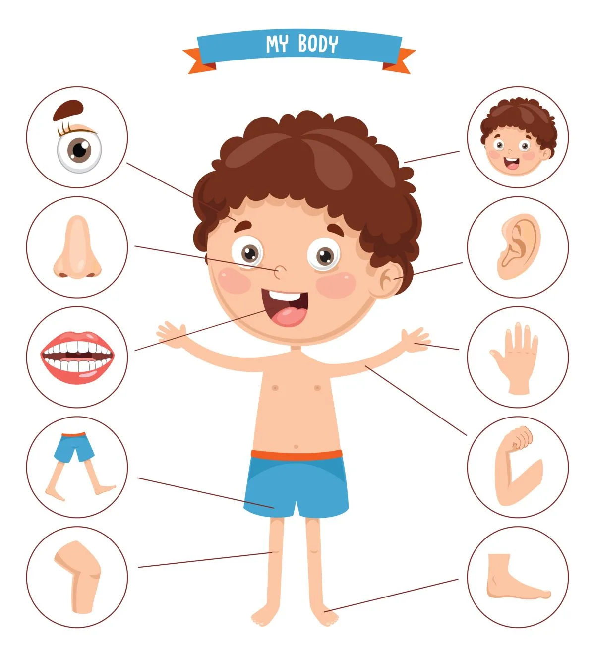 body parts activity