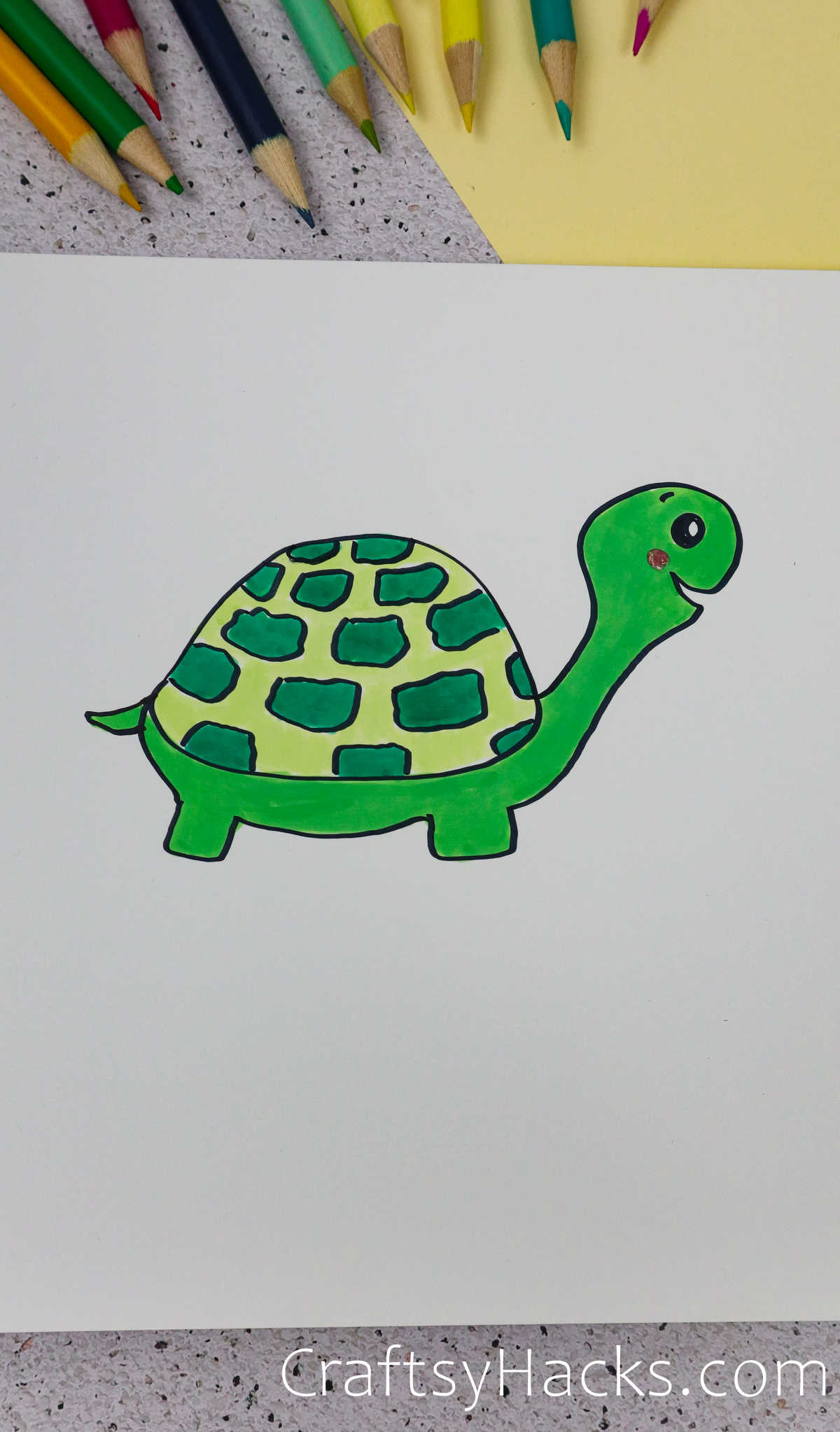 turtle doodle