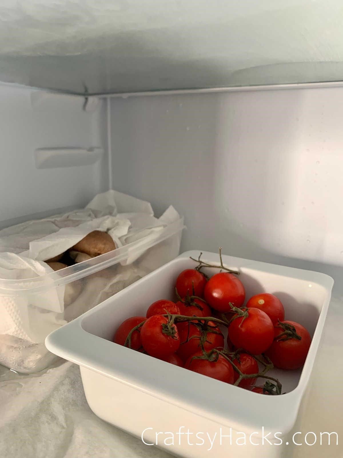 keep tomatoes in fridge