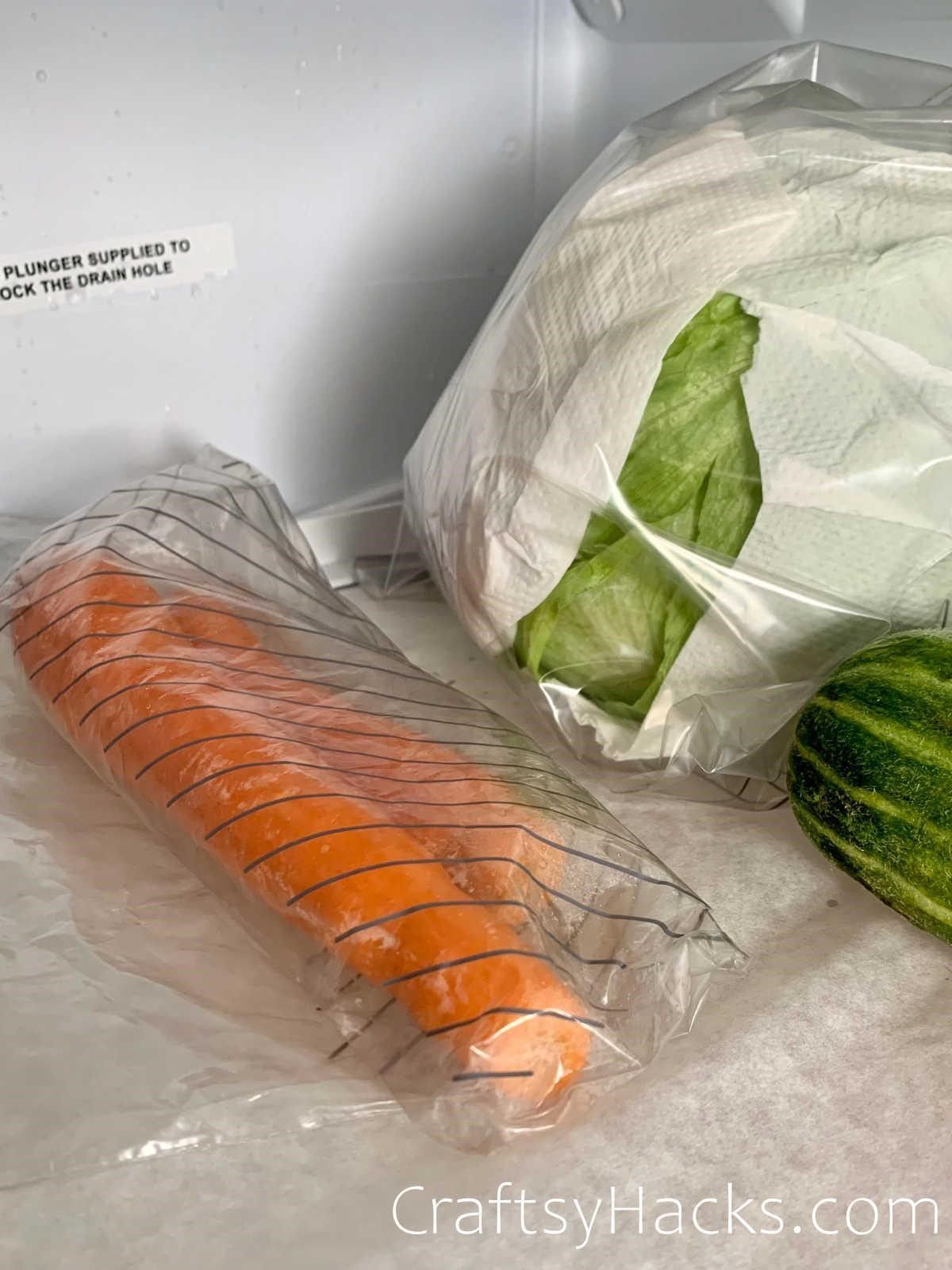 keep carrots in air tight bags