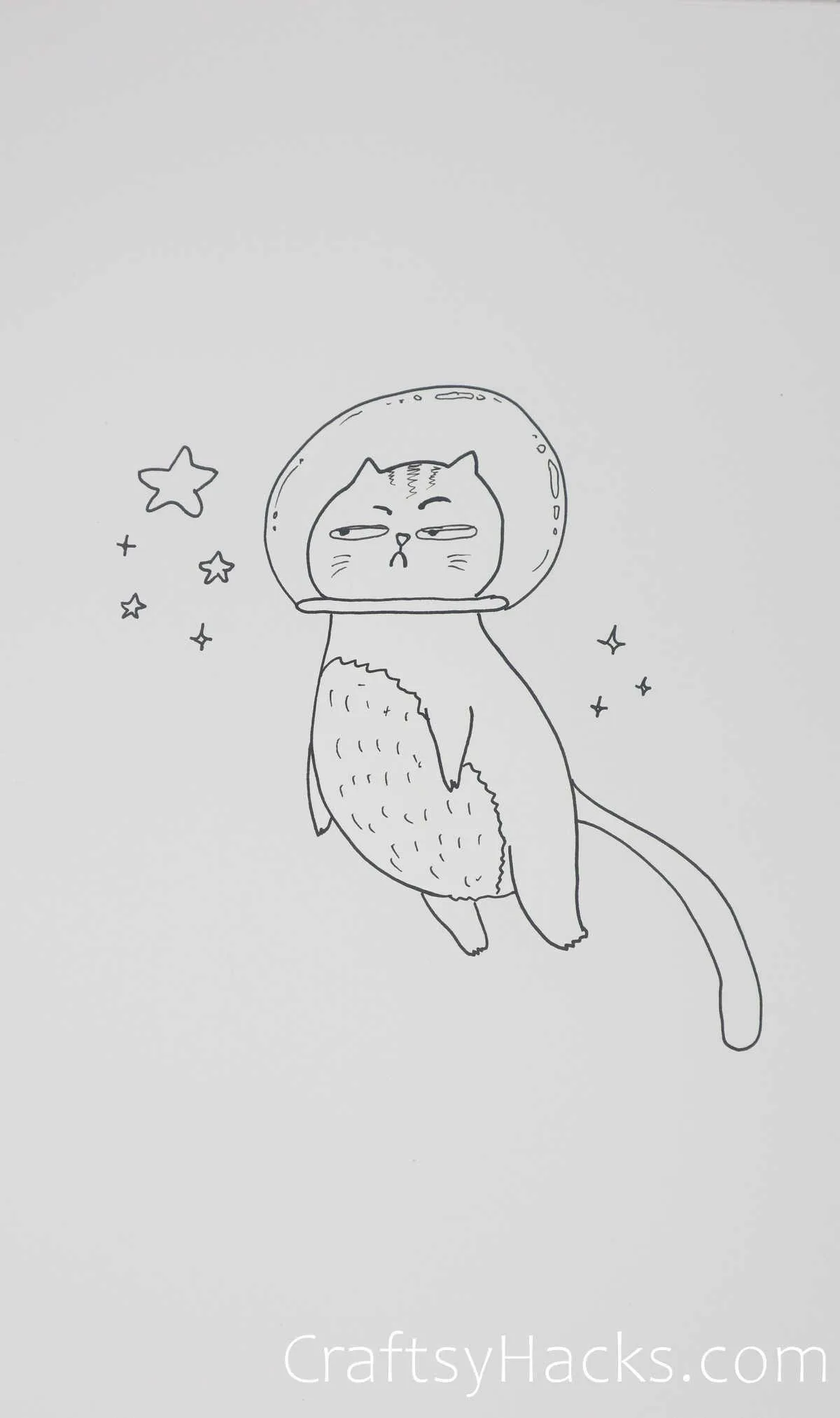outer space cat