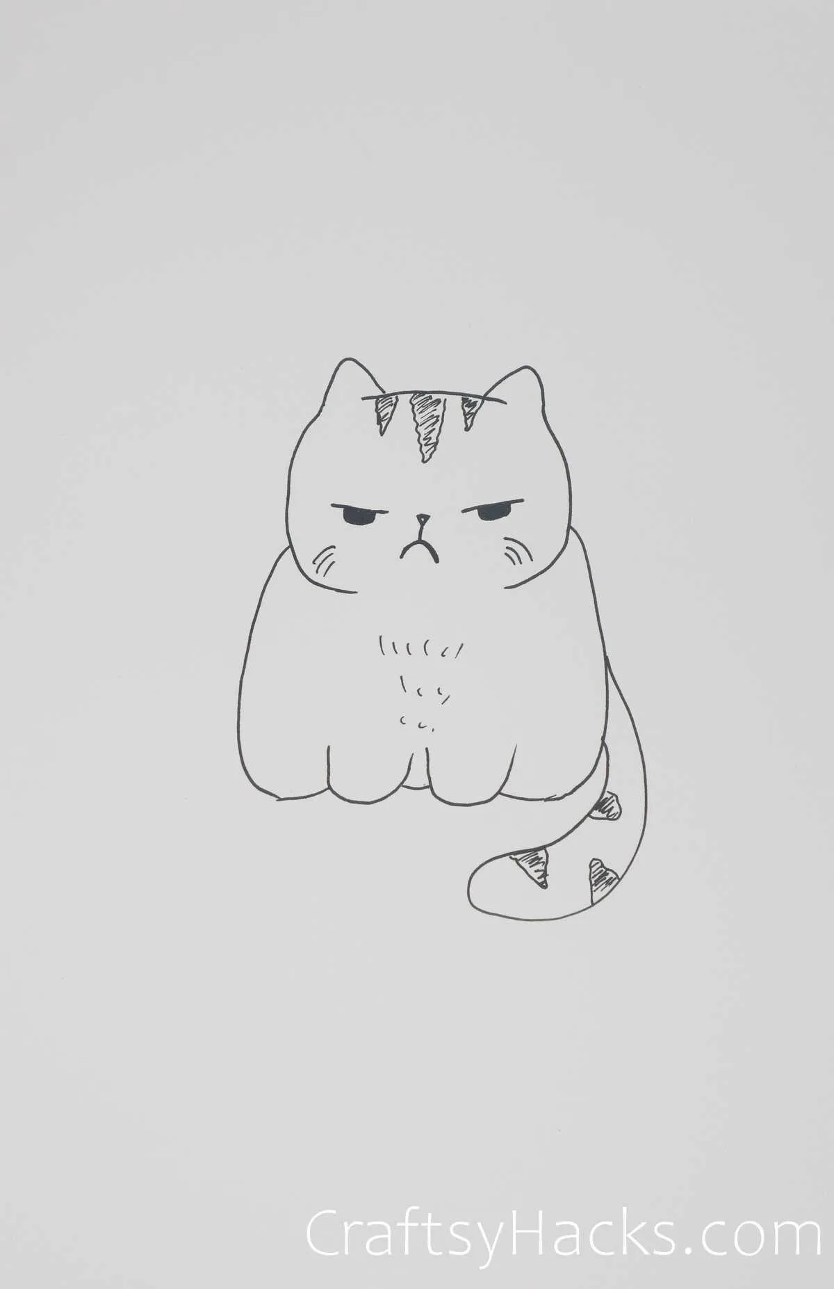 How to draw angry cat! Follow me on instagram! #drawing #cat