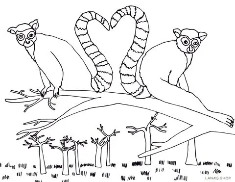 safari animal colouring pages