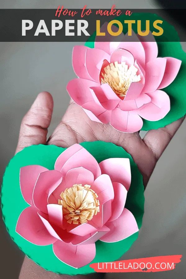 paper lotus flowers
