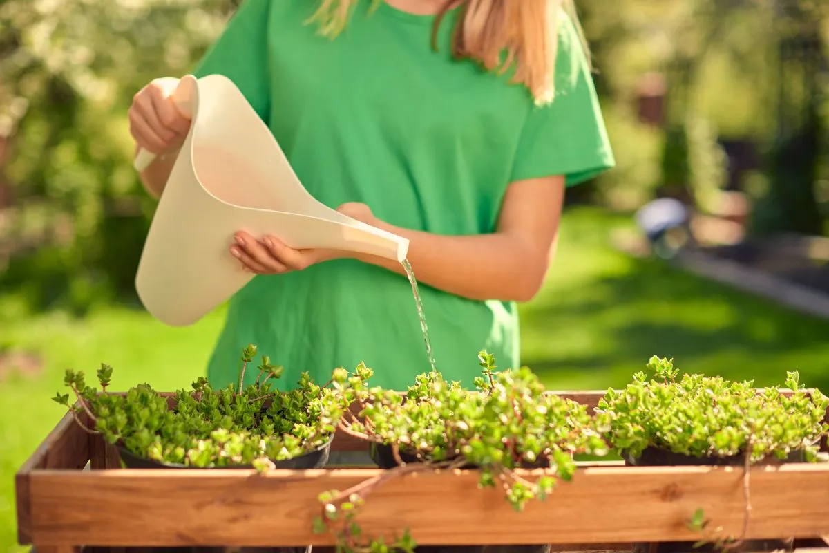 start a garden