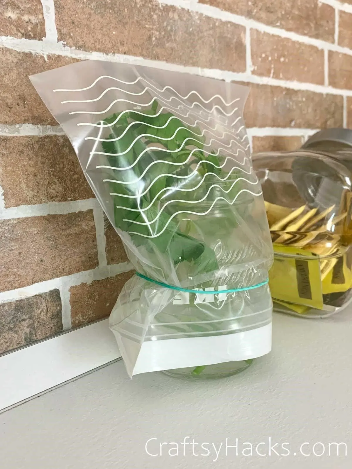 store herbs in covered jars in water