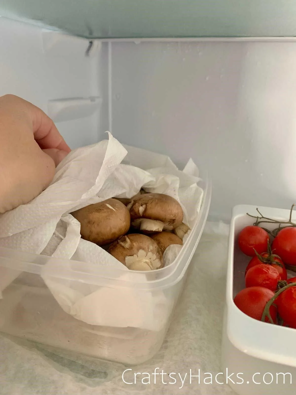 pat dry vegetables after washing