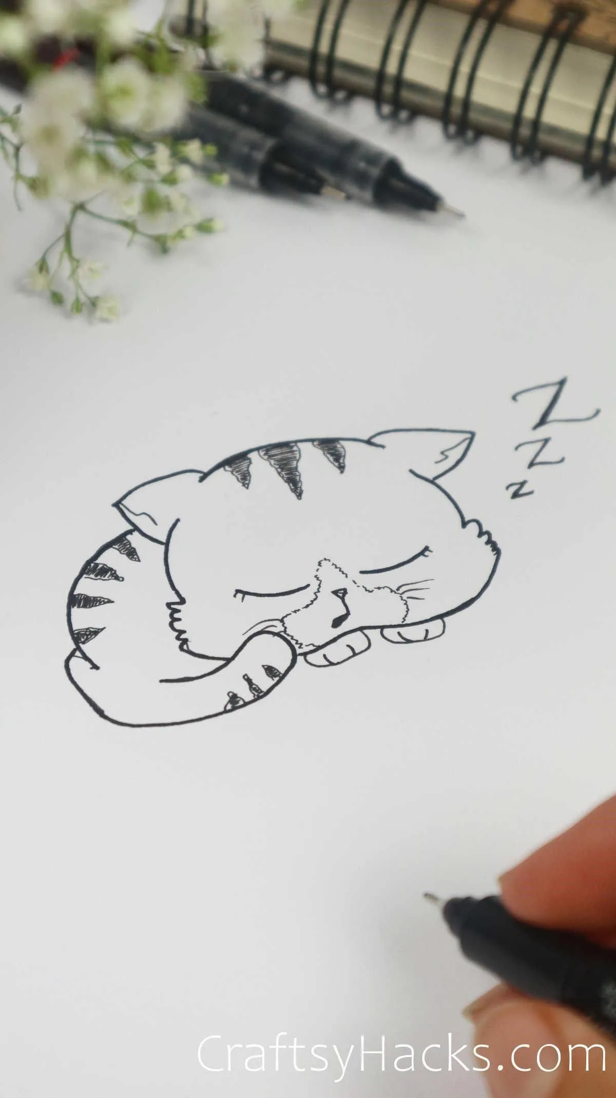 sleeping cat drawing