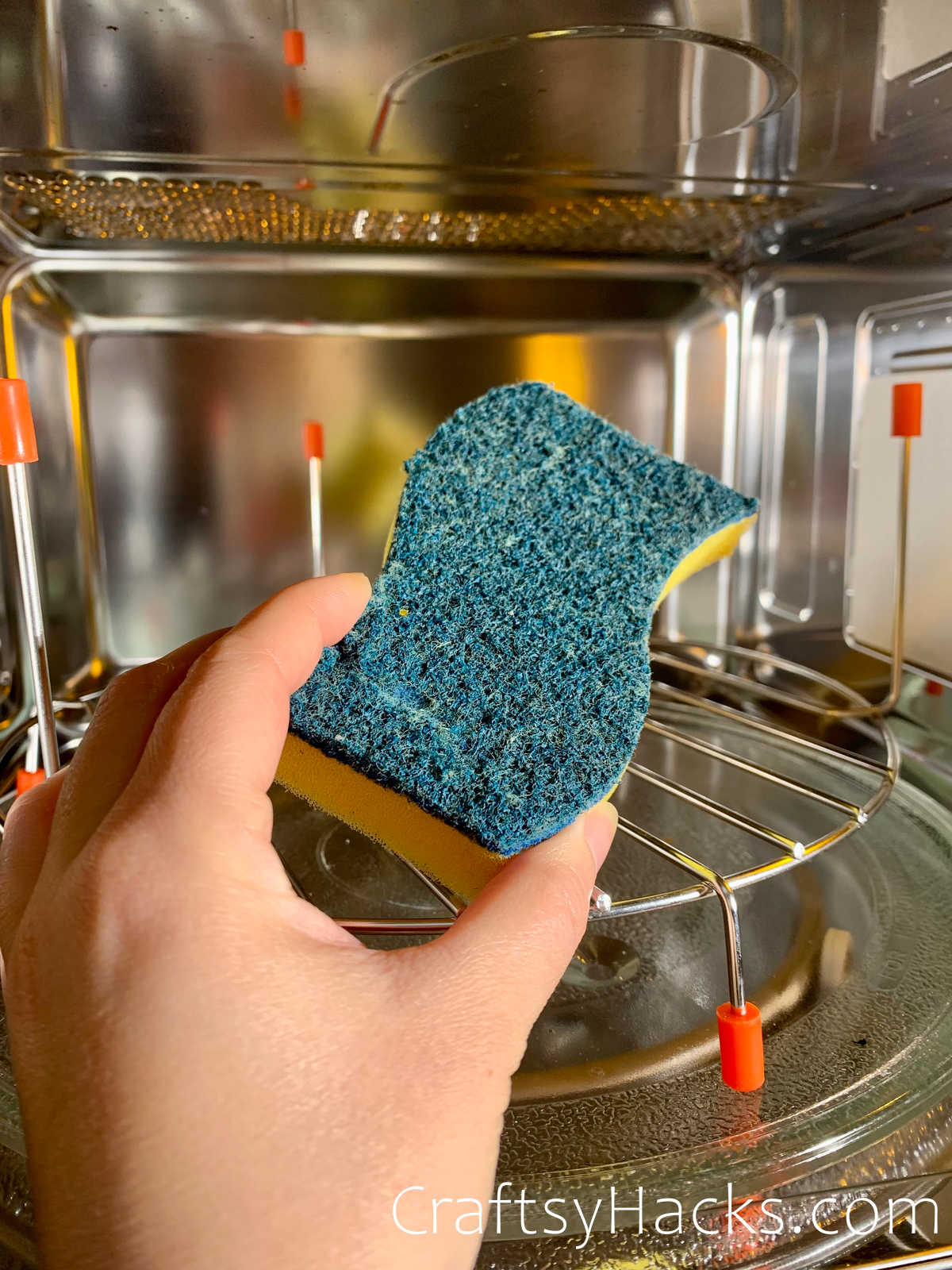 microwave sponge