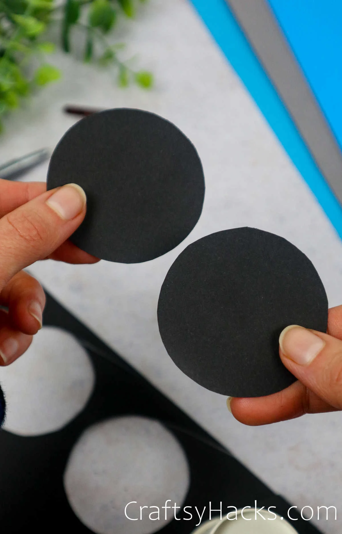 cut two circles of black paper