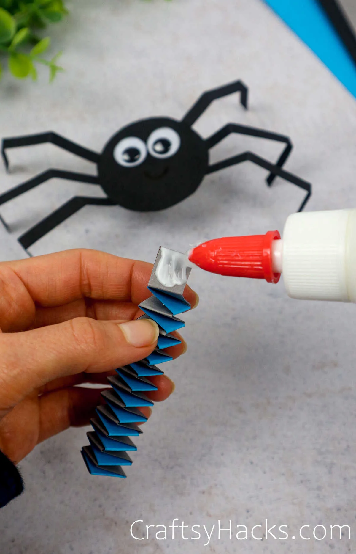 glue spring onto back of spider