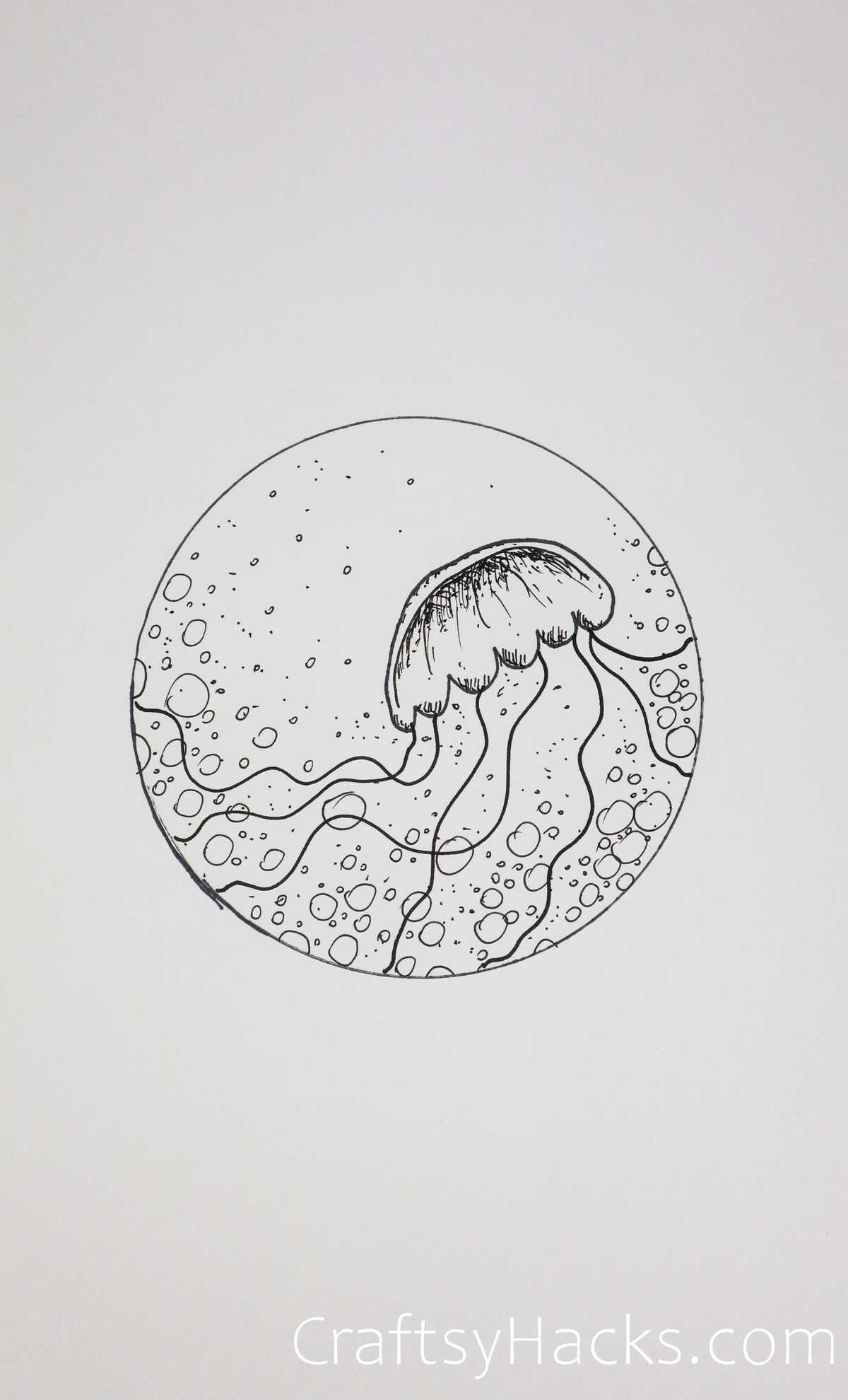 jelly fish circle drawing