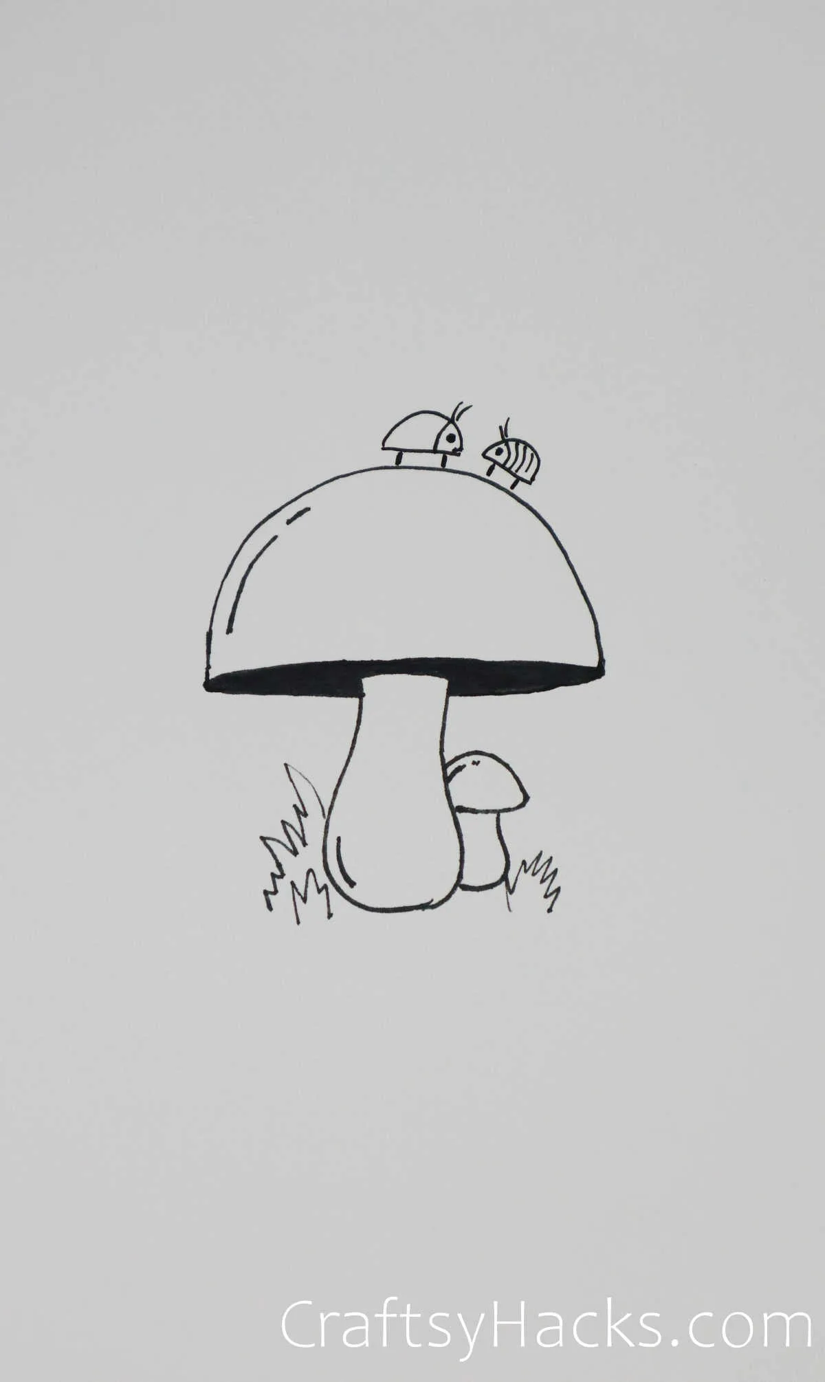bugs on a mushroom drawing