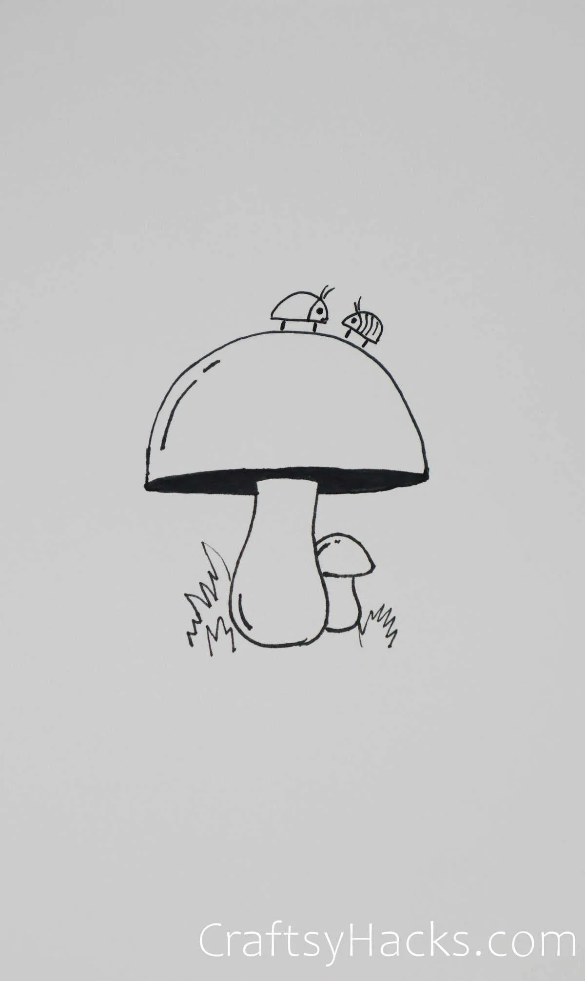 cute mushroom drawings