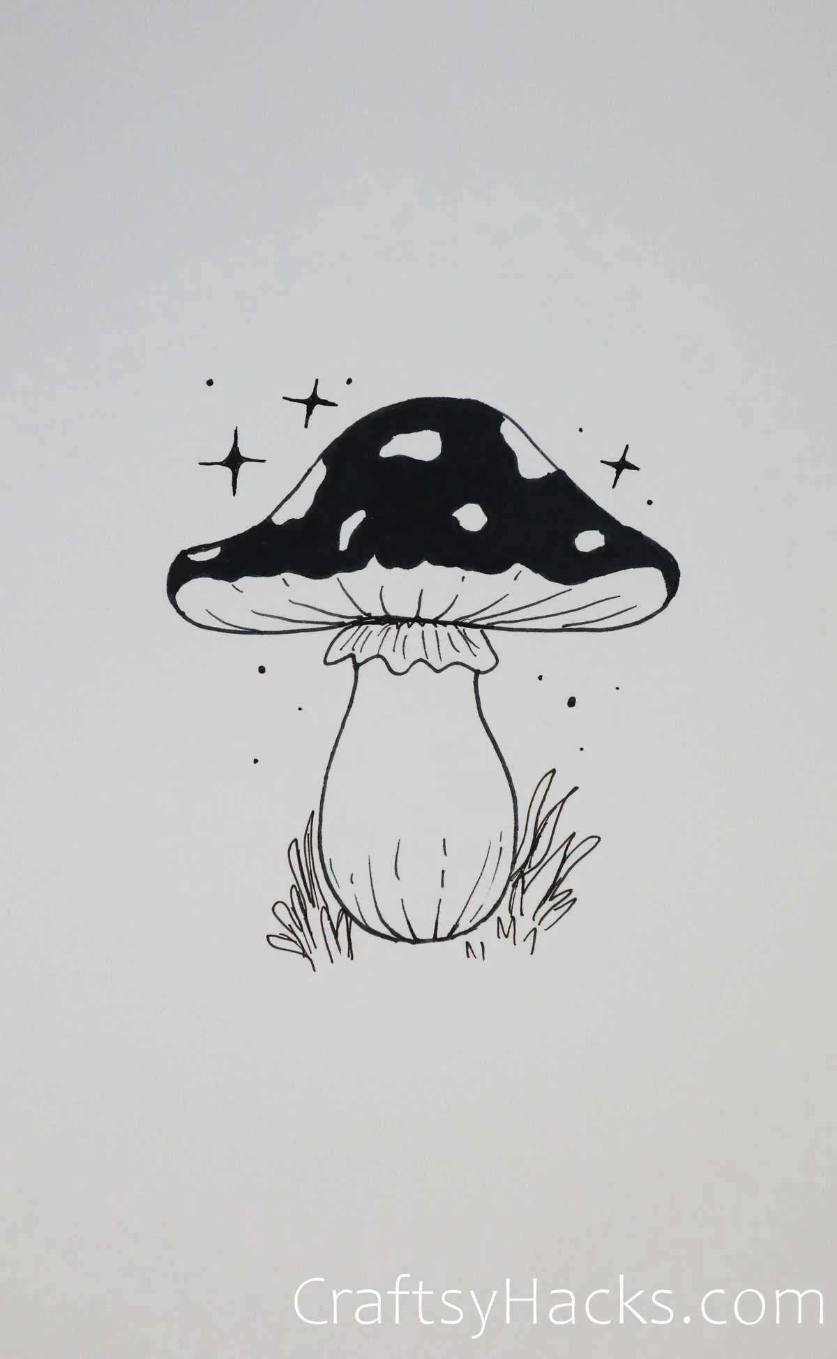 mushroom drawings