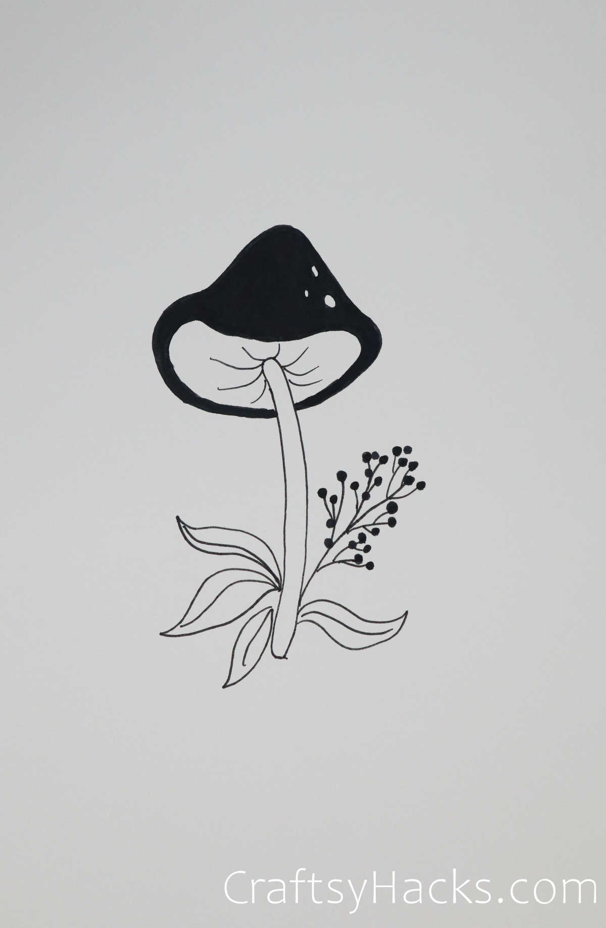 woodland mushroom drawing