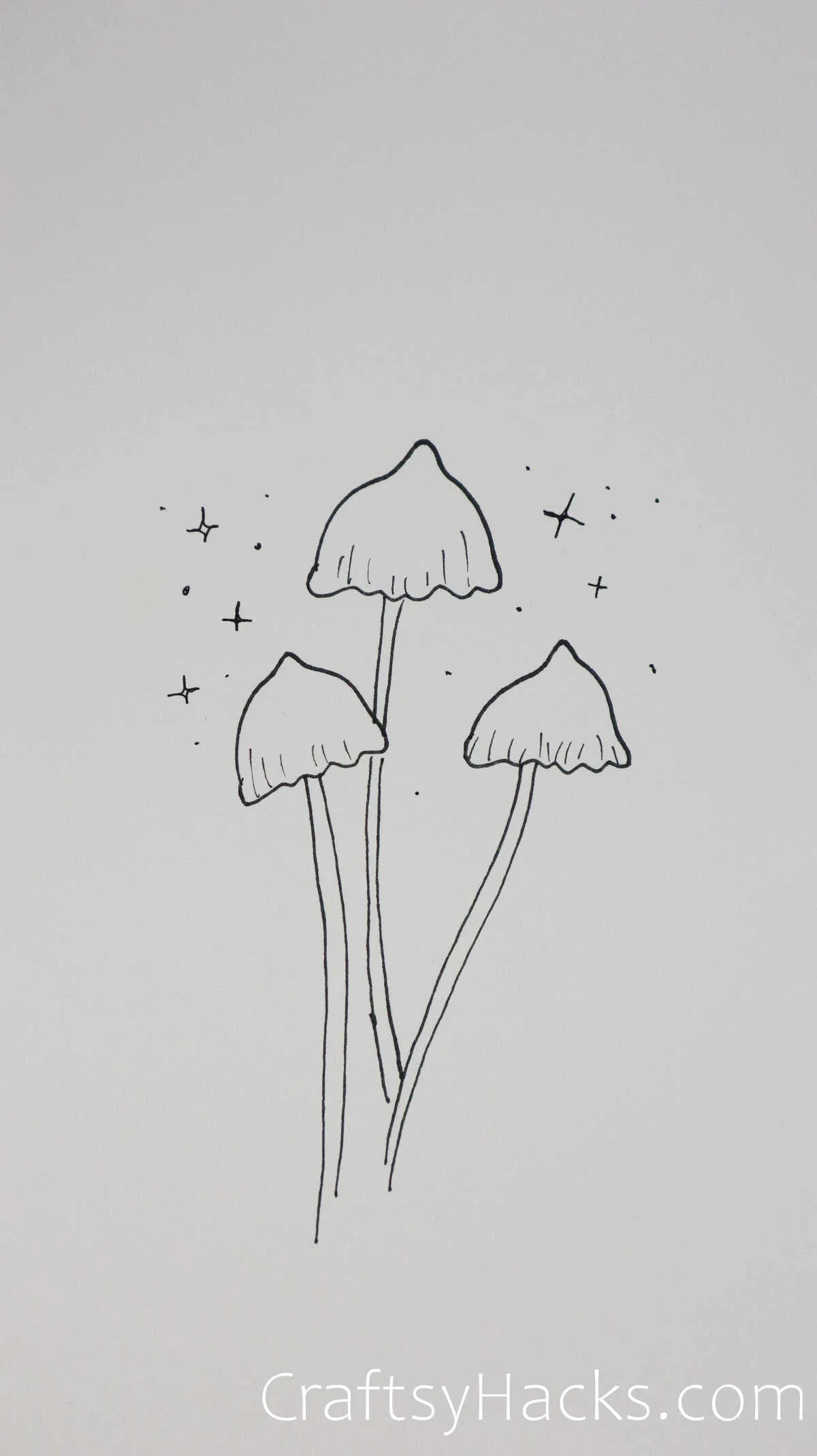 mushrooms in the night drawing
