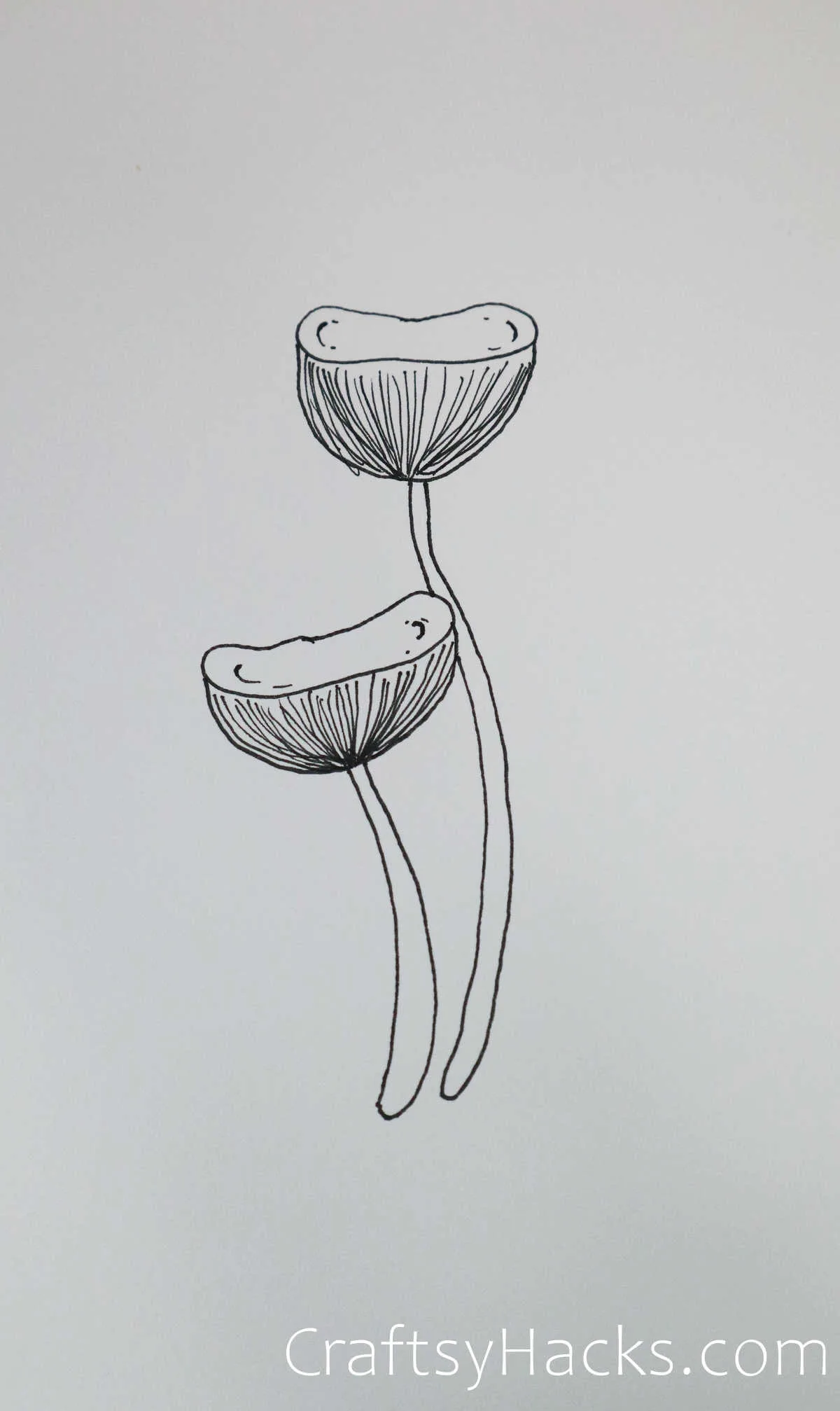 toadstool butterfly pencil  Pencil drawings for beginners, Butterfly  drawing, Trippy drawings