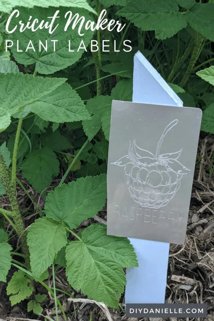 plant markers
