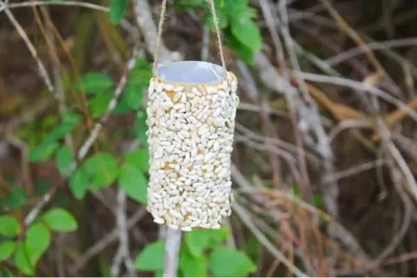 DIY bird feeder