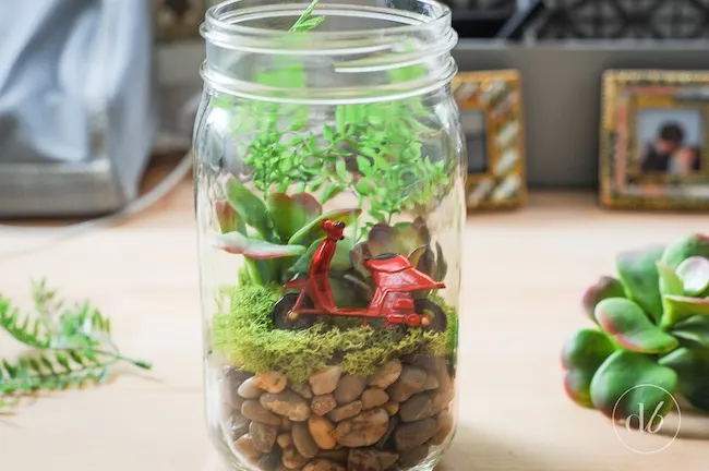 mason jar terranium