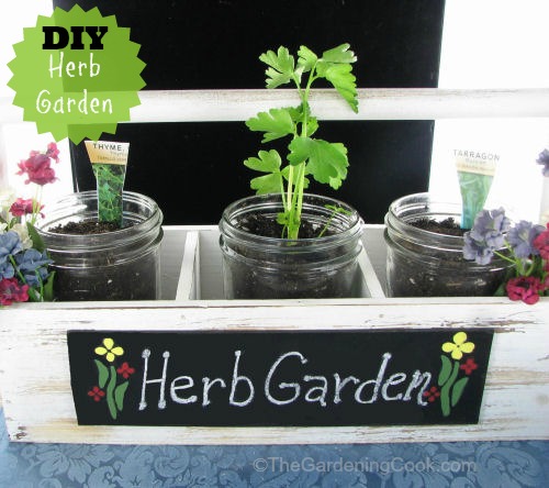 DIY herb garden mason jars